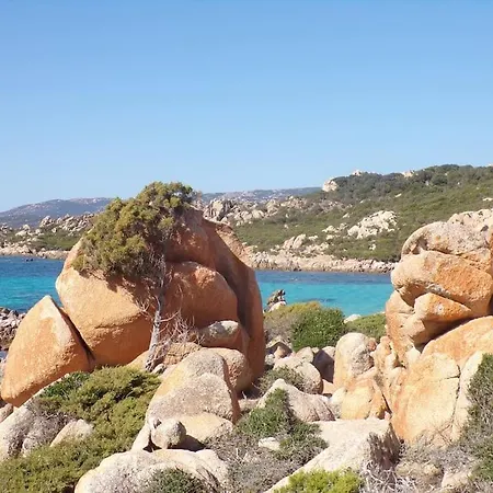 Les Du Valinco - 77 - Corse 2a -ancv * Serra-di-Ferro (Corsica)